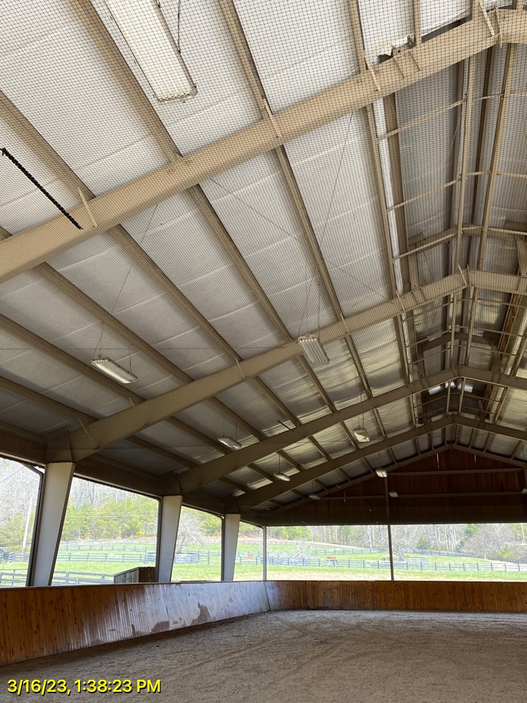 Bird netting for barn swallows